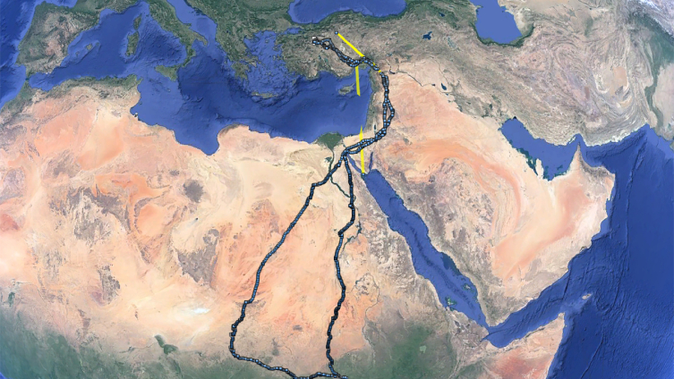 Uydudan takip edilen akbaba Midas 1 yılda 32 bin kilometre uçtu